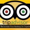 TripAdvisor Review Express