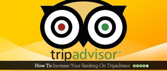 TripAdvisor Review Express